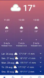 DMI Vejr screenshot 1