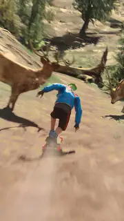 Downhill Racer screenshot 8