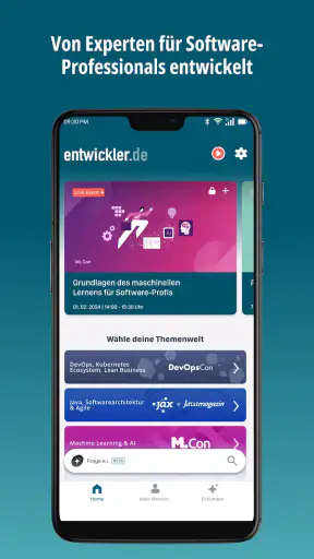 entwickler.de screenshot 1