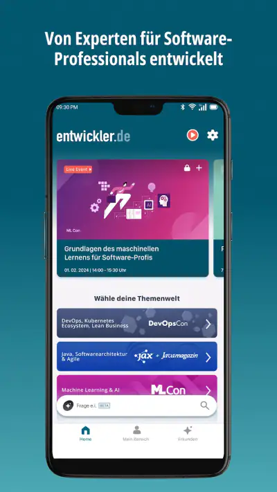 entwickler.de screenshot 1