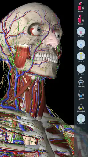 Essential Anatomy 5 screenshot 1