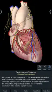 Essential Anatomy 5 screenshot
