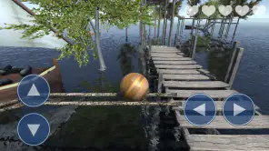 Extremer Balancer 3 screenshot 1