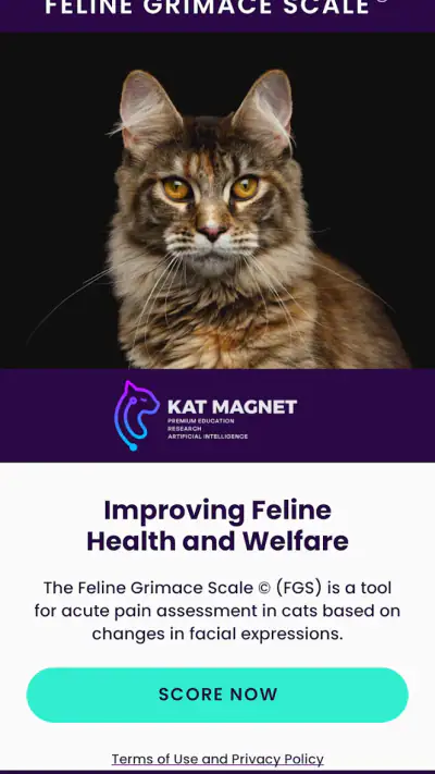 Feline Grimace Scale screenshot 1