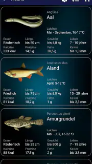Fischerei vorhersage screenshot 6