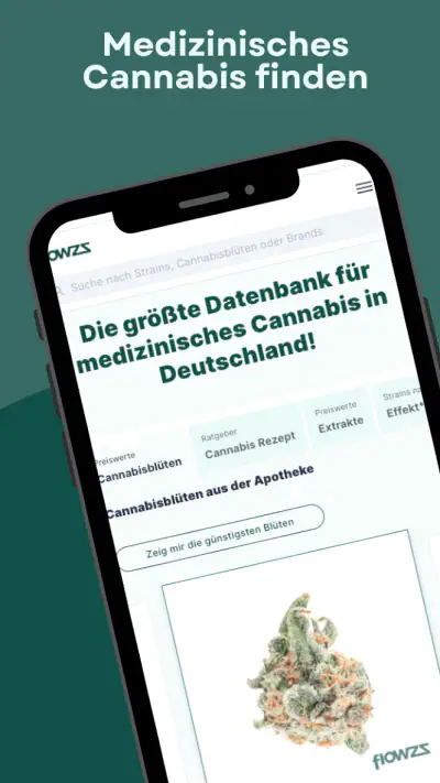 flowzz.com screenshot 1