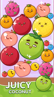 Fruit Drop Master screenshot 5