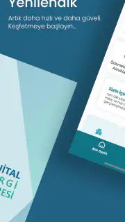 GİB screenshot 2