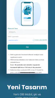 GİB screenshot 5