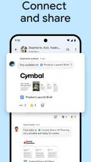 Google Chat screenshot 7
