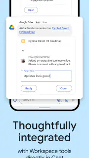 Google Chat screenshot 8