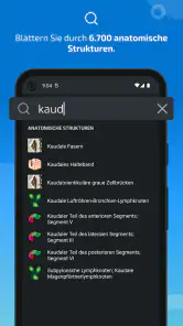 IMAIOS e-Anatomy screenshot