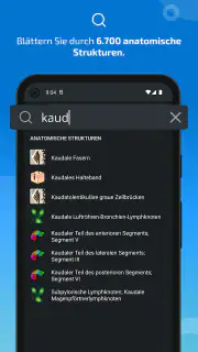 IMAIOS e-Anatomy screenshot 3