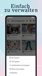 InstSaver: Video-Downloader screenshot