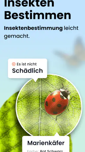 Käfer & Insekten Bestimmen screenshot 1