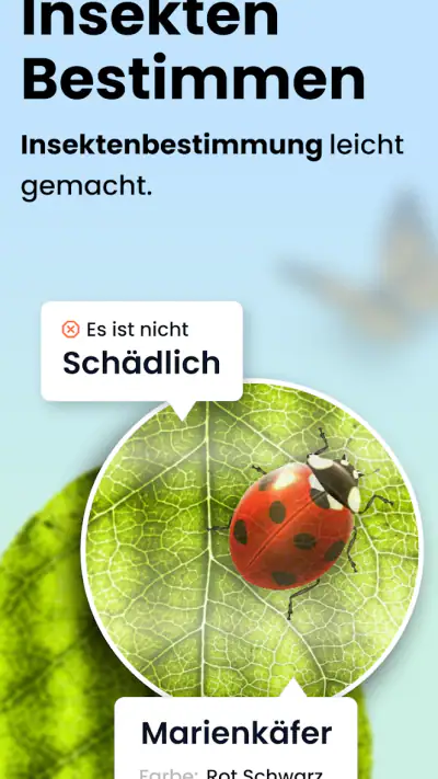 Käfer & Insekten Bestimmen screenshot 1