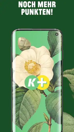 Kremer Plus screenshot 1