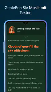 Lark Player:Musik-Player screenshot