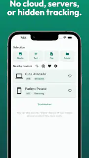 LocalSend: Transfer Files screenshot 2