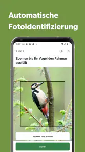 Merlin Bird ID von Cornell Lab screenshot