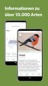 Merlin Bird ID von Cornell Lab screenshot