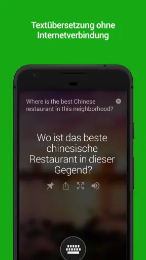 Microsoft Übersetzer screenshot 1