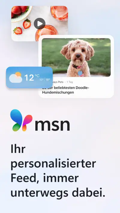 MSN screenshot 1