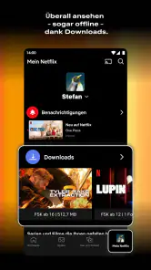 Netflix screenshot