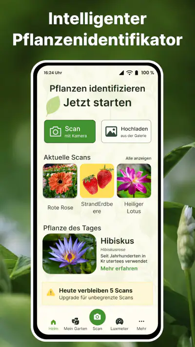 Pflanzen Erkennen auf Deutsch screenshot 1