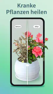 Pflanzen erkennen & Pflege App screenshot 3
