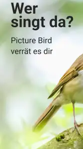 Picture Bird - Vögel bestimmen screenshot