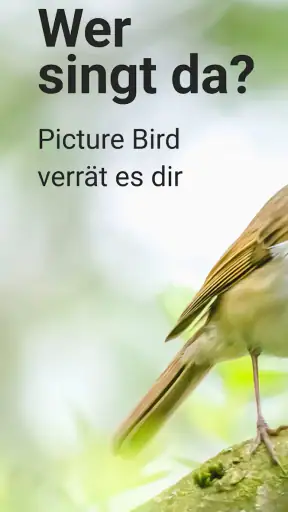 Picture Bird - Vögel bestimmen screenshot 1