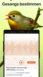 Picture Bird - Vögel bestimmen screenshot