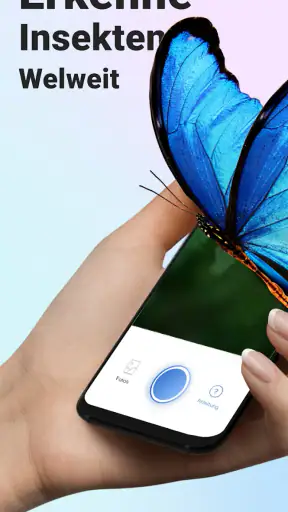 Picture Insect - Insekten ID screenshot 1