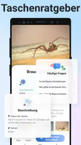 Picture Insect - Insekten ID screenshot
