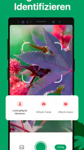 PictureThis Pflanzen bestimmen screenshot