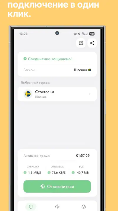 Ping VPN – schnell und sicher screenshot 1