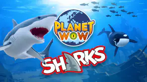 PLANET WOW® Sharks screenshot 1