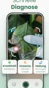Plantify : Pflanzen Erkennen screenshot