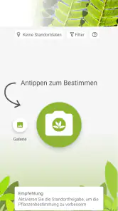 Pl@ntNet Pflanzenbestimmung screenshot