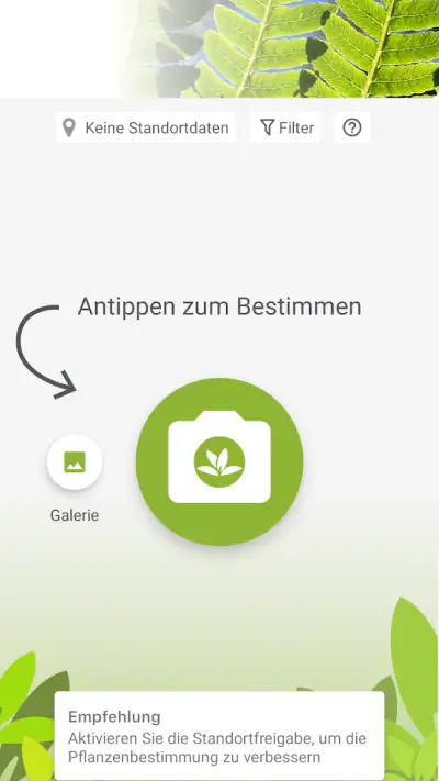 Pl@ntNet Pflanzenbestimmung screenshot 1