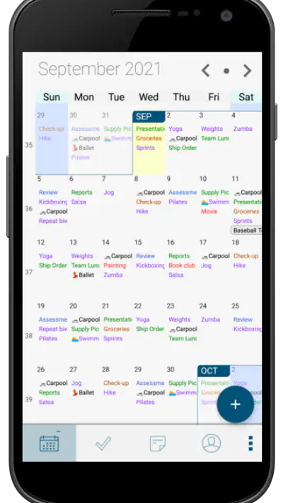 Pocket Informant screenshot 1