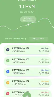 RAVEN Miner by NVS screenshot 1
