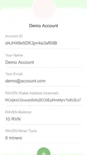 RAVEN Miner by NVS screenshot 2
