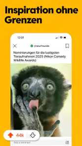 Reddit screenshot