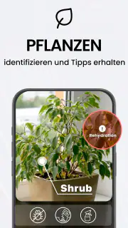 Scan zu PDF App - TapScanner screenshot 4