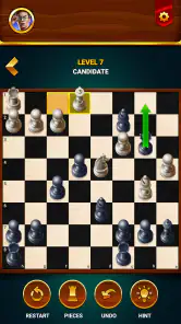 Schach - Offline Brettspiel screenshot