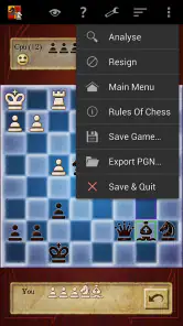 Schach Pro (Chess) screenshot