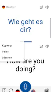 Sofortige Sprachübersetzung screenshot