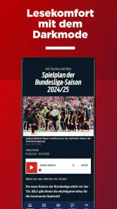SPORT BILD: Alle Fussball News screenshot